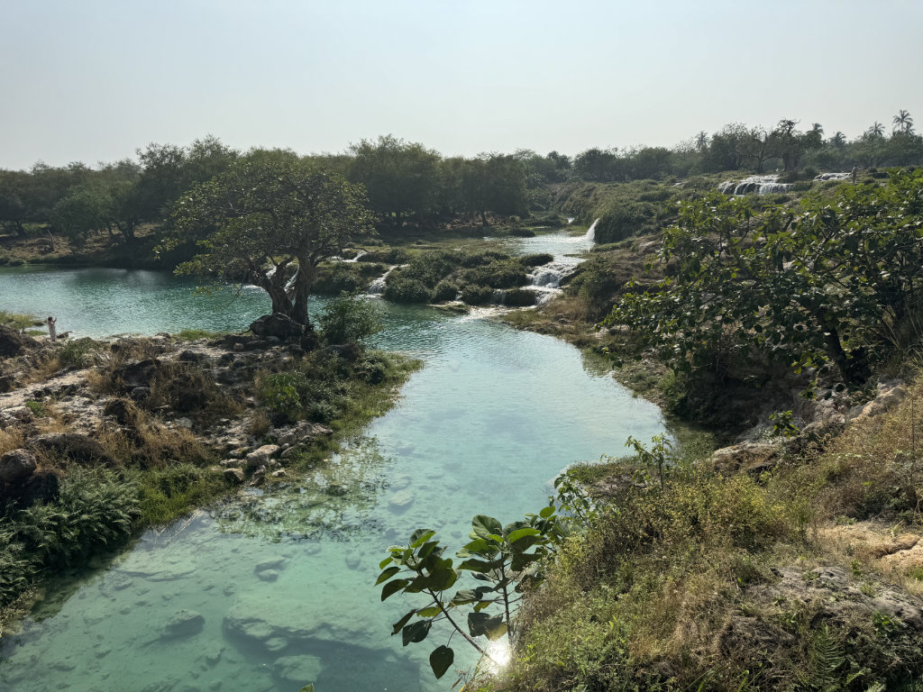 wadidarbat IMG 9433